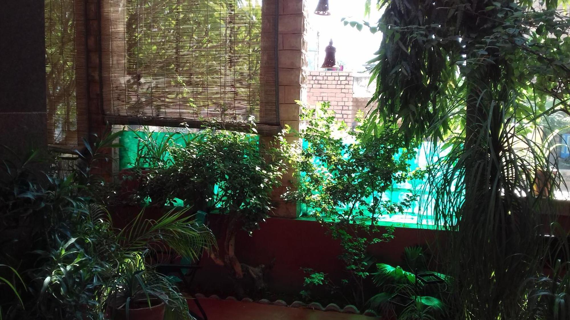 "Nain'S Kunj" A Traveller'S Home Jodhpur  Exteriör bild