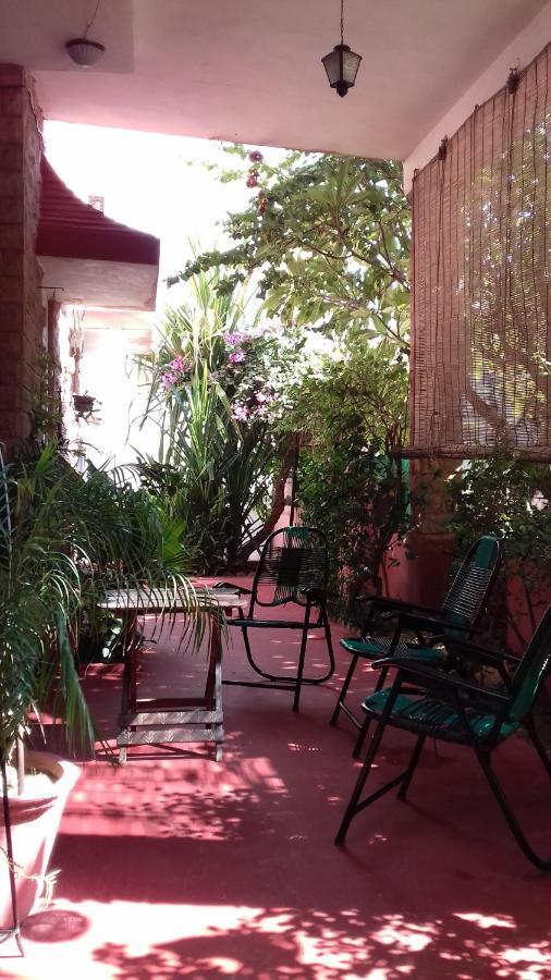 "Nain'S Kunj" A Traveller'S Home Jodhpur  Exteriör bild